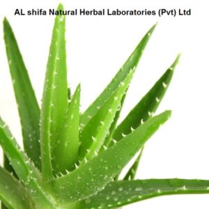 Aloe vera Var, kawar Gandal