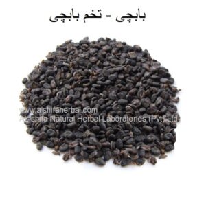 Babchi Seeds