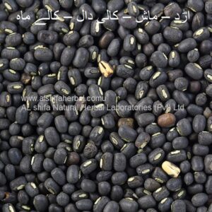 Urad Mash, Black Gram