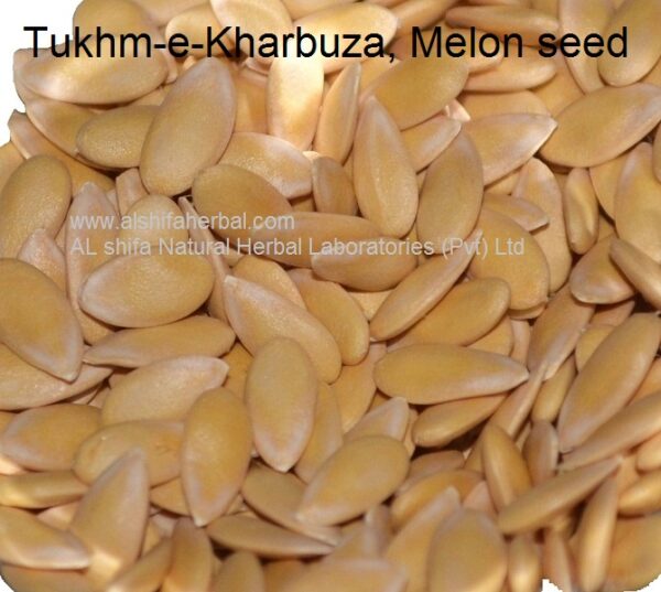 Tukhm-e-Kharbuza, Melon seed - Image 4