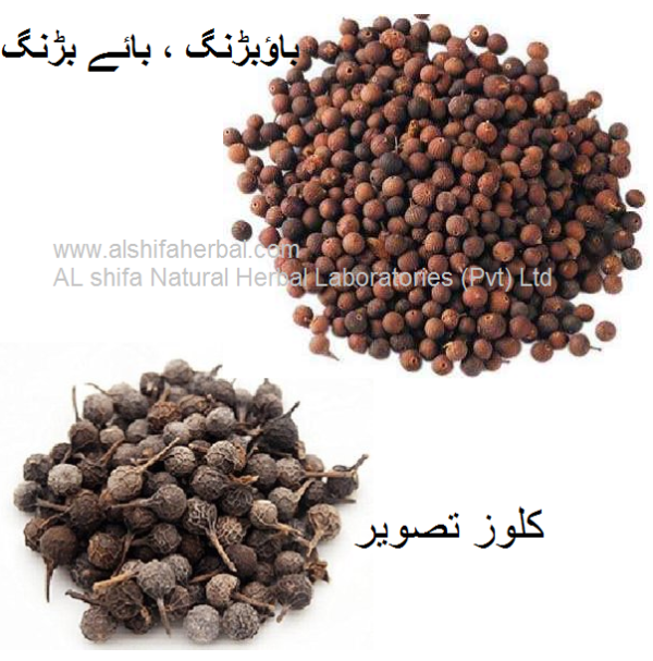 Bao-Barang, False Black Pepper - Image 2