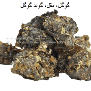 Muqil, Guggal,Gum Guggul