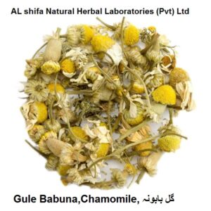 Gule Babuna,Chamomile