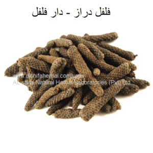 Filfil Daraz, Long Pepper