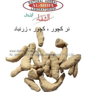 Nar kachur, Wild Turmeric