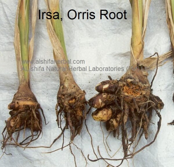 Irsa, Orris Root - Image 6