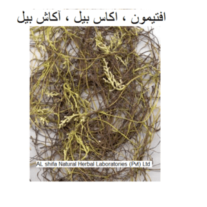 Aftimoon, (Cuscuta reflexa) (Dodder)