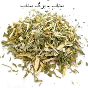 Berge Saddab, Garden Rue
