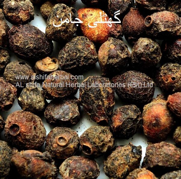 Tukhm-e-Jaman,  Jambolan Seeds - Image 4