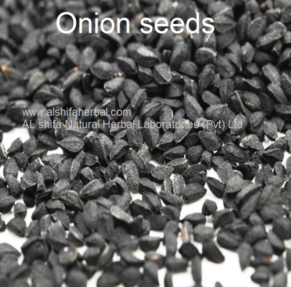 Tukhm e Piyaz. Onion Seeds. - Image 3