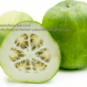 Petha, Winter Melon