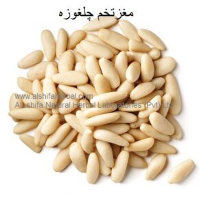 Chilghoza, Pine Nuts