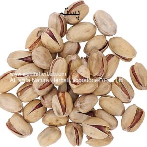 Pista, Pistachio Nut