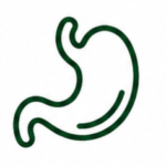 Digestive Health