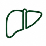 Liver Care