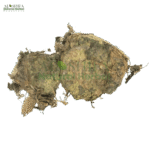 رسوت انڈیا