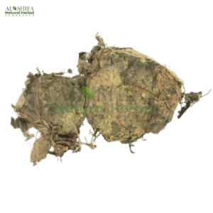 رسوت انڈیا