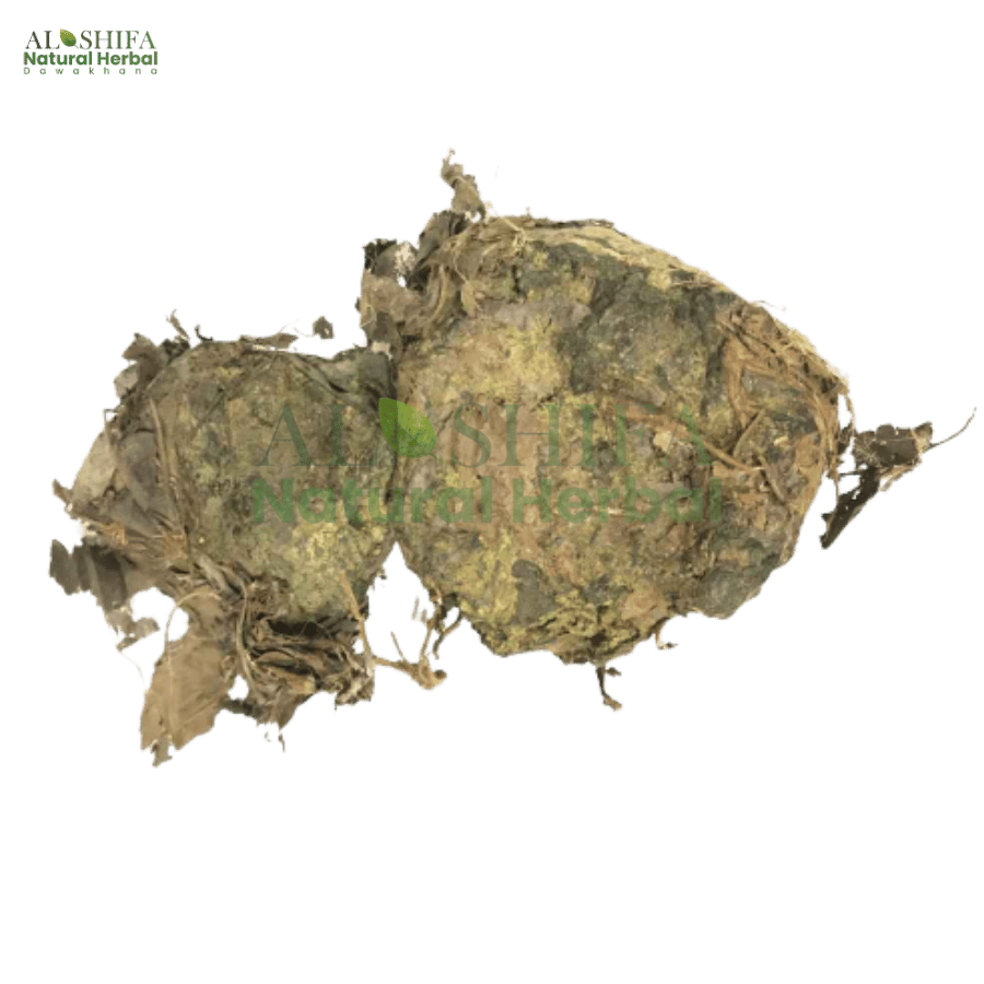 رسوت انڈیا