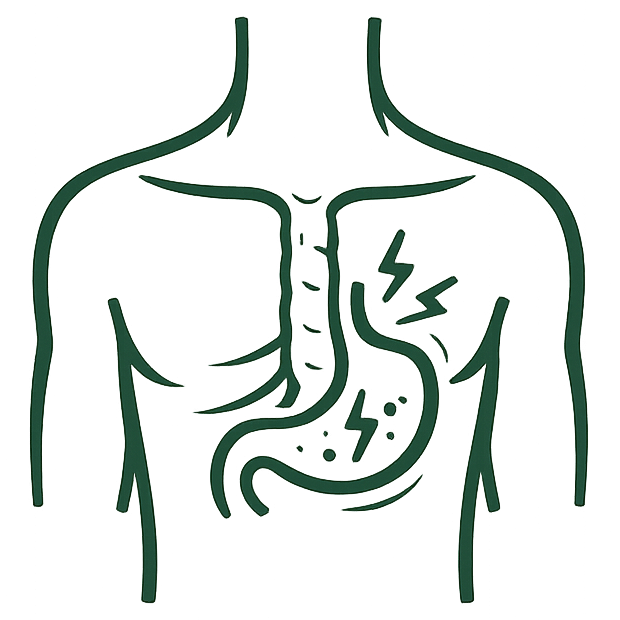 پیٹ کے تمام امراض کا دیسی علاج