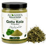 منڈوک پرنی