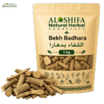 بدھارا