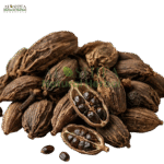 بڑی الائچی