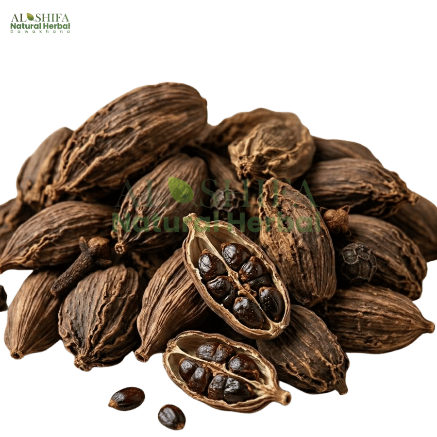 بڑی الائچی
