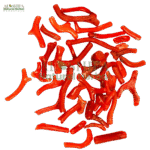 شاخ مرجان