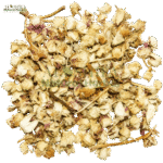 گل مدار – بھول آک مدار
