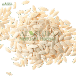 مغز کھیرا
