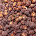 خشک آلوچہ