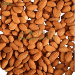 بادام گربندی