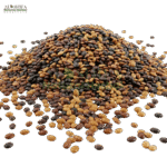 دال کلتھی