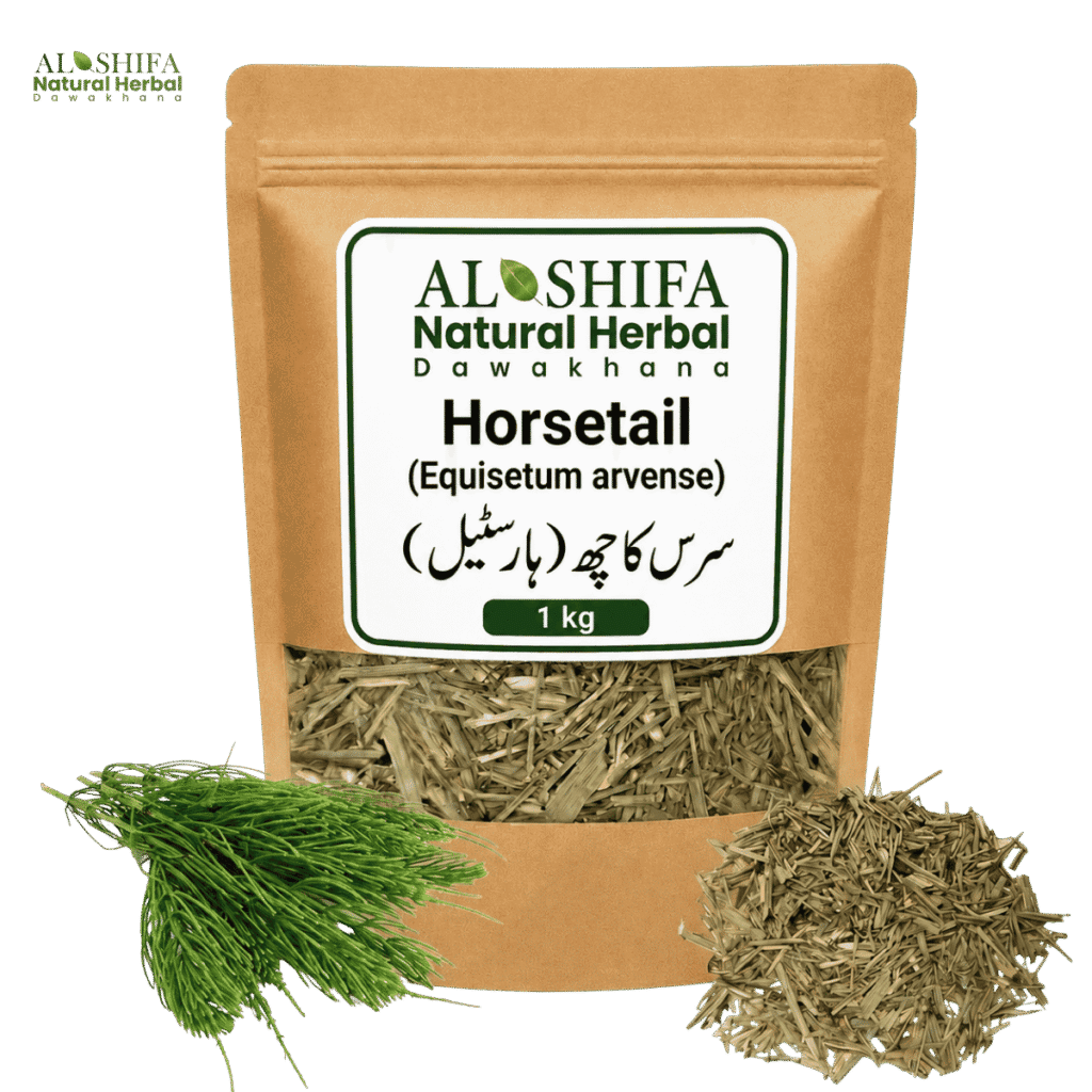 سرس گاچھ/ ہارسٹیل