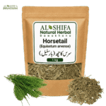 سرس گاچھ/ ہارسٹیل