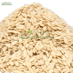 مغز خربوزہ