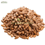 الشفاء چلغوزہ