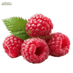 جوہر رسبیری کیٹونز