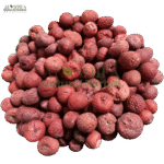 سپاری تیلیا / چکنی سپاری