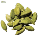 سبز الائچی