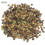 باقلہ