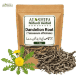 جڑقاصدی/ڈینڈیلین روٹ