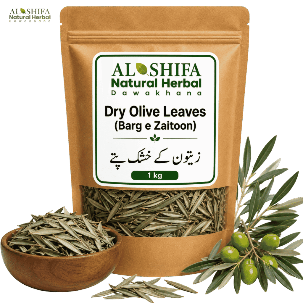 زیتون کے خشک پتے