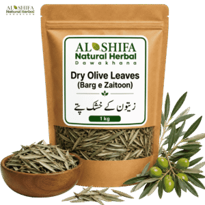 زیتون کے خشک پتے