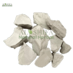 گاچی