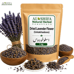 اسطوخودوس