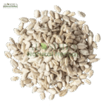 مغز سورج مکھی
