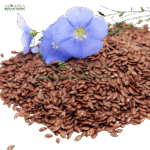 السی