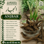 انجبار