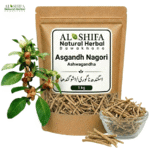 اسگندھ ناگوری/اشوگندھا